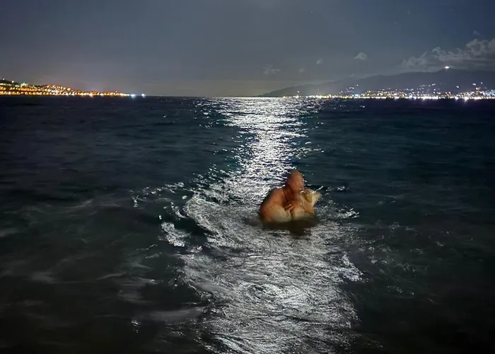 Il Marinaio מסינה